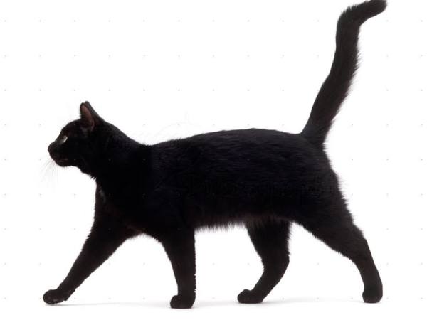 Ten Things I Find Beautiful in Life:&nbsp;Repost