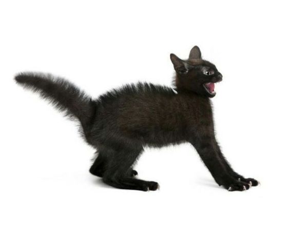 Outgrowing People and Experiences:&nbsp;Repost