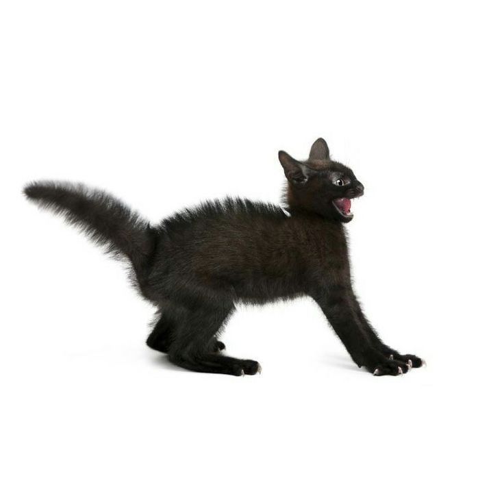 Outgrowing People and Experiences:&nbsp;Repost