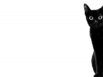 Do You Have to Love Yourself to Love Others:&nbsp;Repost