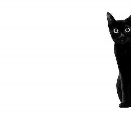 Do You Have to Love Yourself to Love Others:&nbsp;Repost