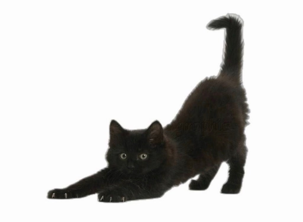 The Return of 2000s&nbsp;Skinny