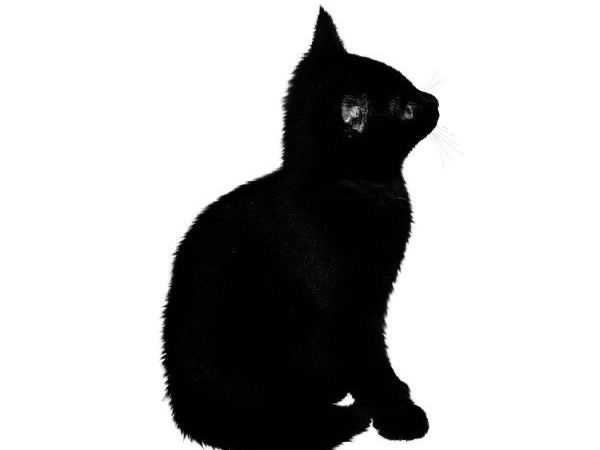 My Recent Goals (And&nbsp;Rewards!)